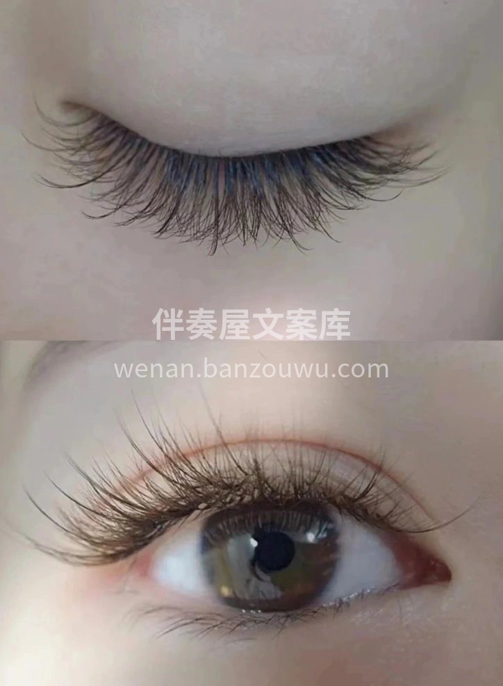 ✨在最长的白昼✨ ❤️遇见更多美好🍃