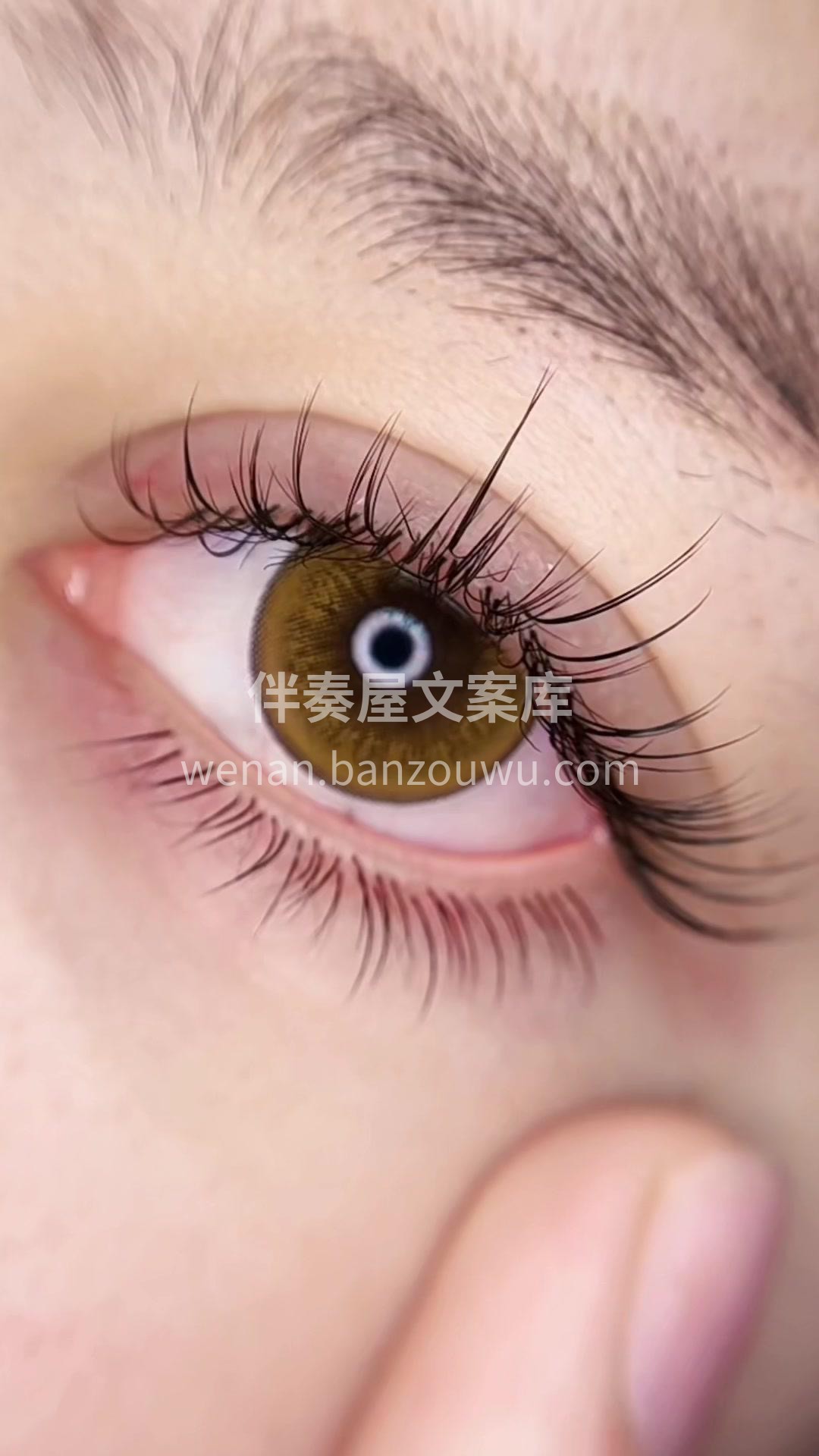 今日美睫 ·。• * 美丽请查收 * .