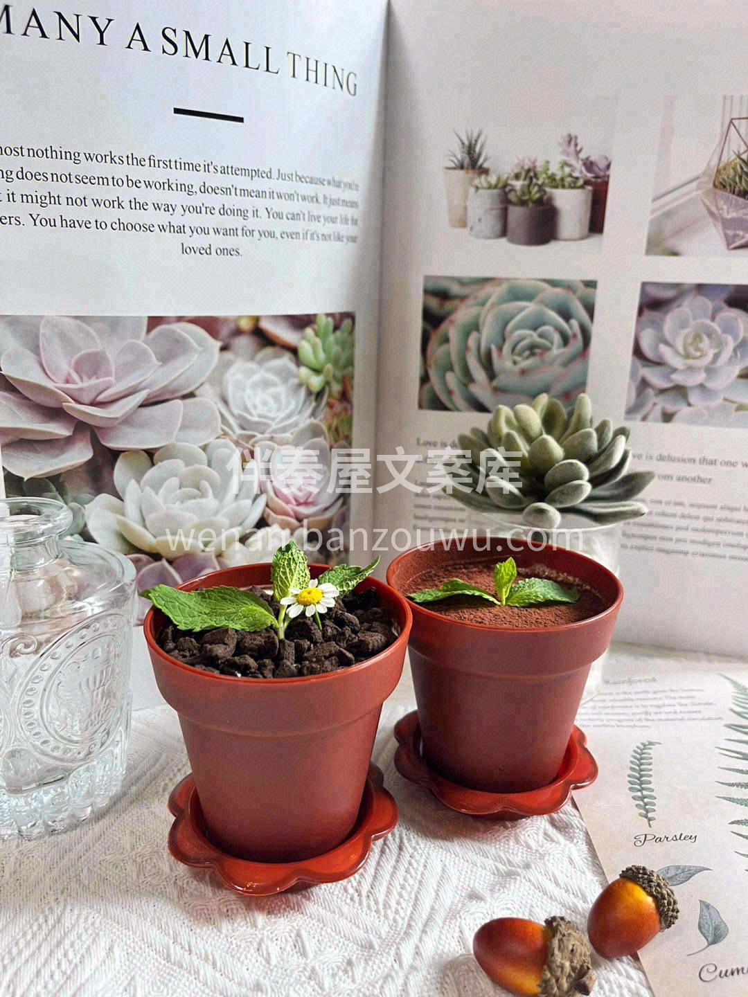 🎏悠闲的生活方式，才是下午茶的独特魅力💞 配图2