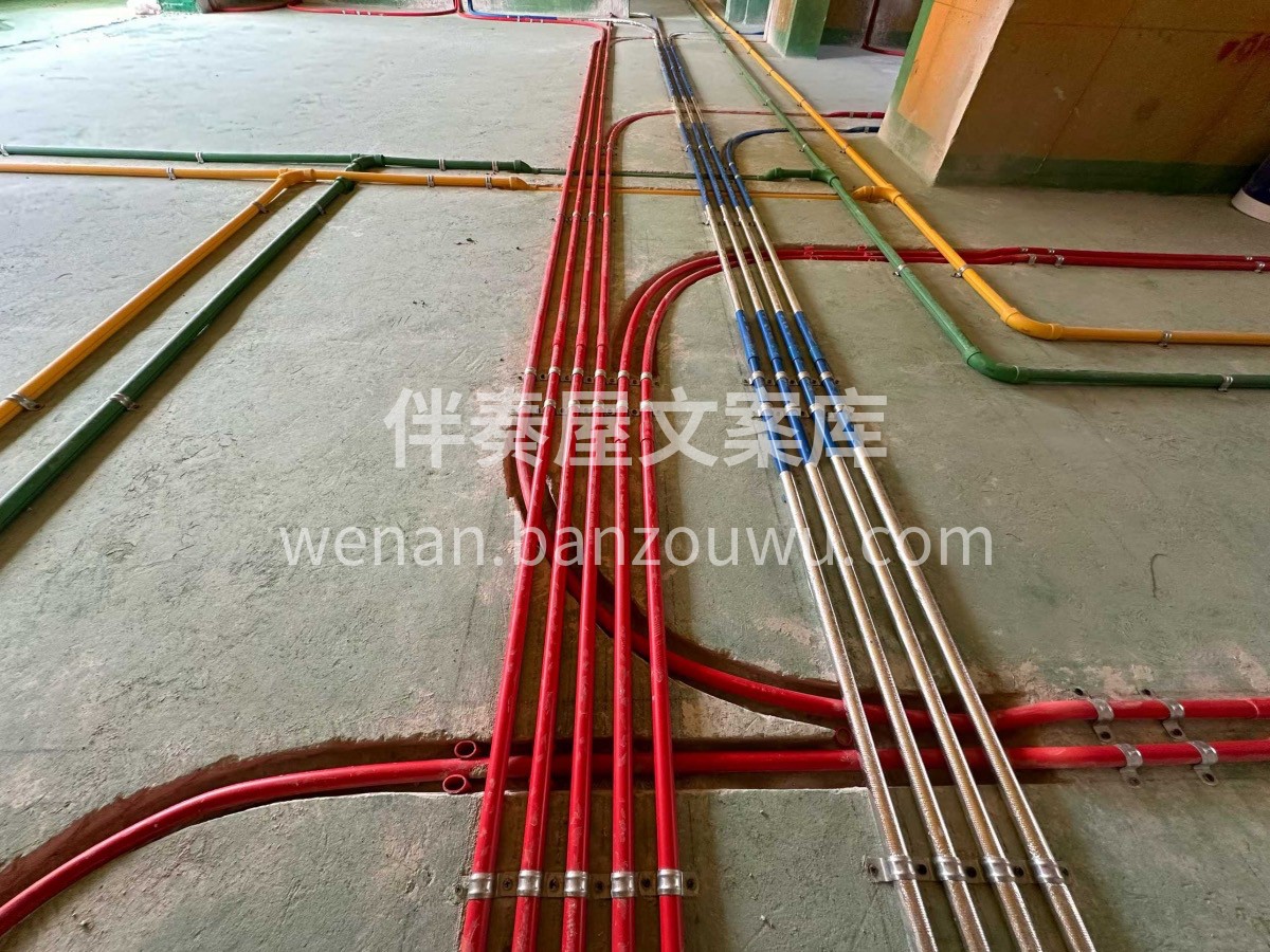 大阅兵震撼的不只是力量 还有背后的纪律和 配图3