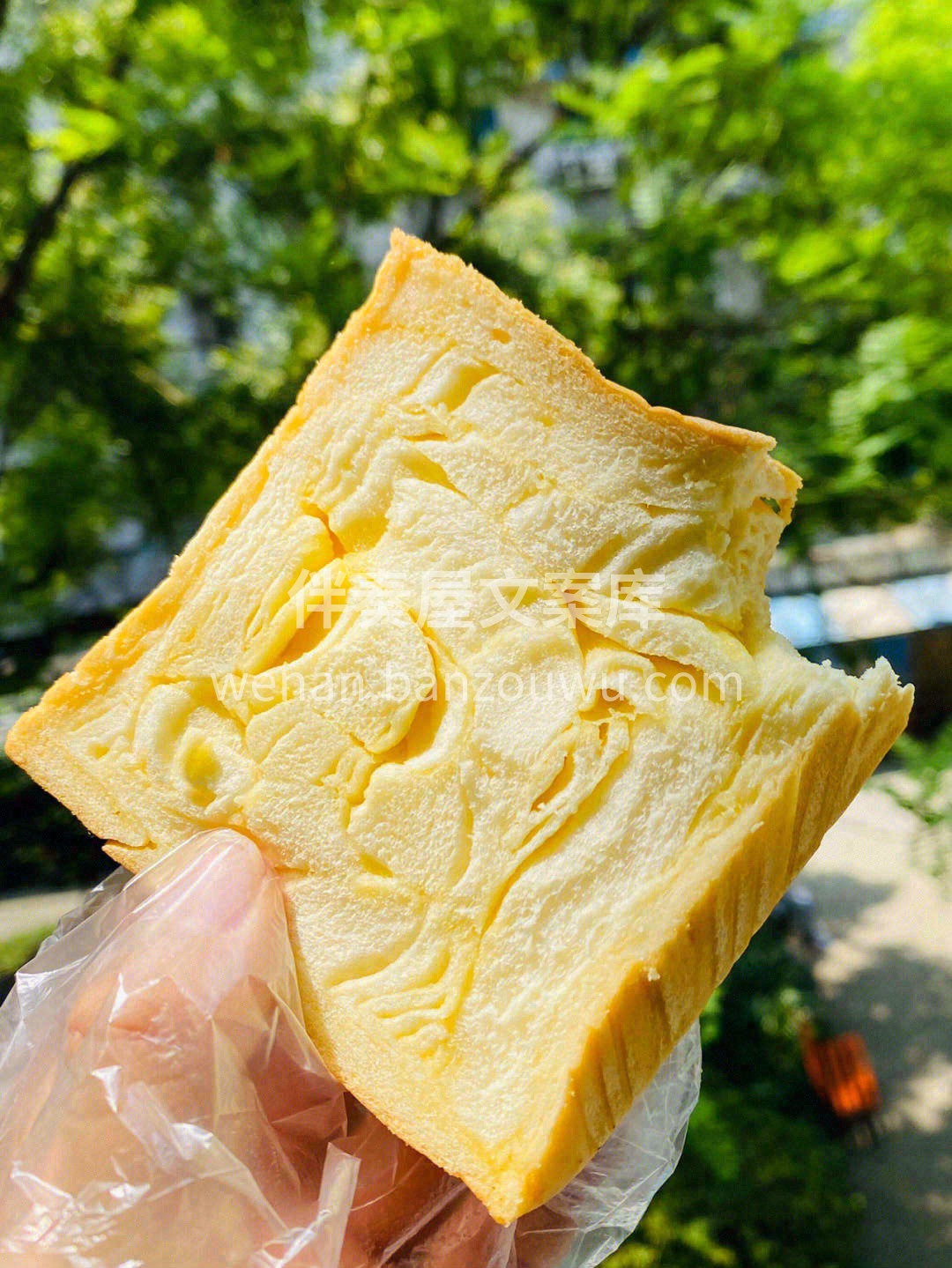 浪漫的灵魂从来不向平淡的日子妥协，即使只