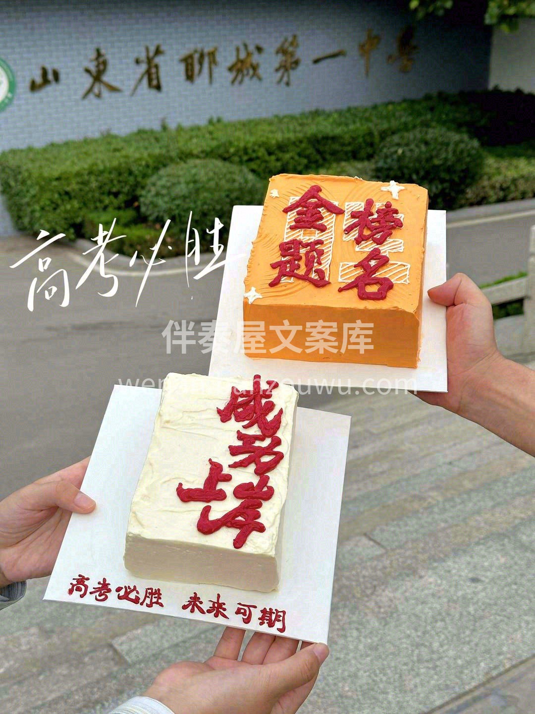 十八岁，成年亦乘风🎢 🌟如梦青春，豆蔻年 配图3