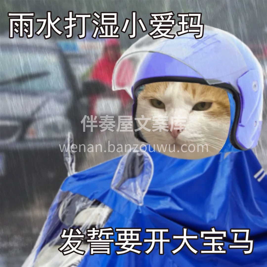 台风要来了 什么也挡不住客户至上的原则 
