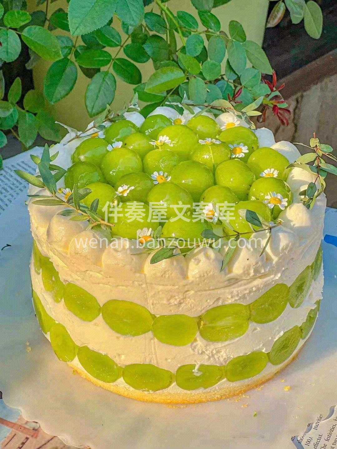 我在人间贩卖大自然的光🌟只为照亮世界的每 配图1
