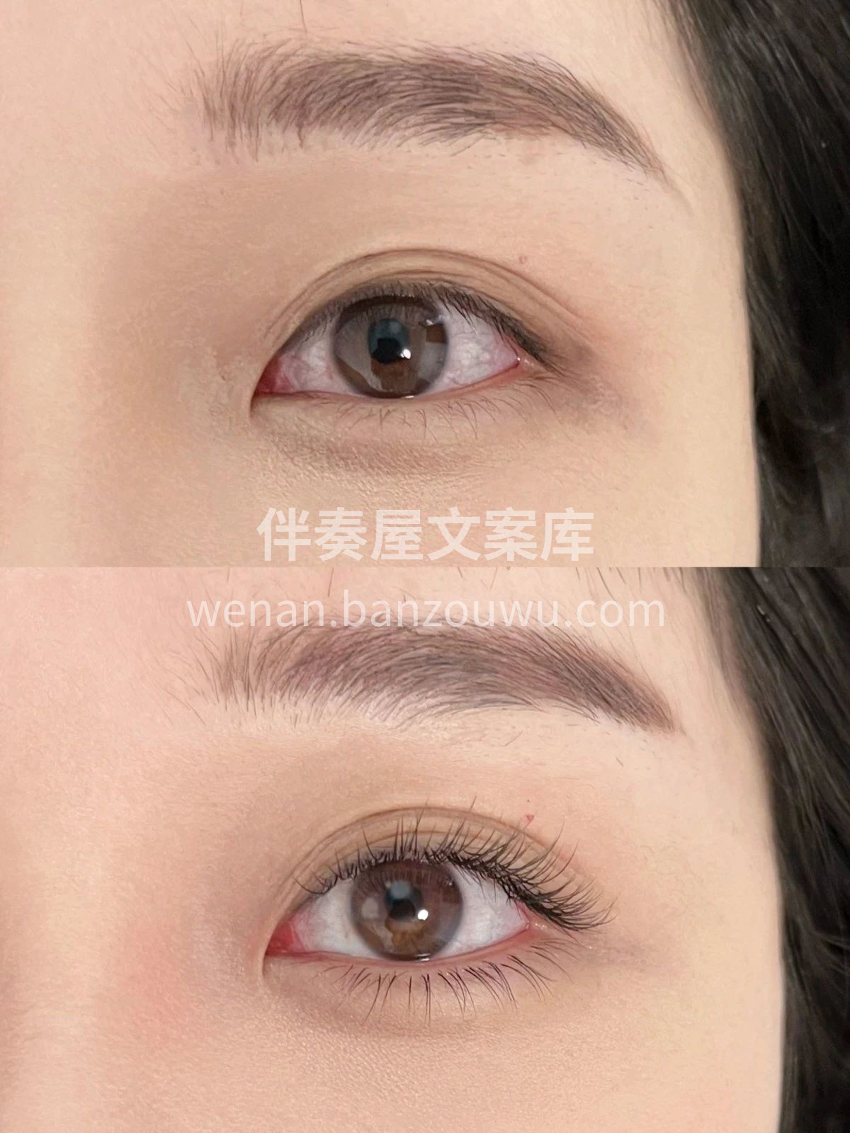 美睫的尽头是单根 自然好打理，根根分明 