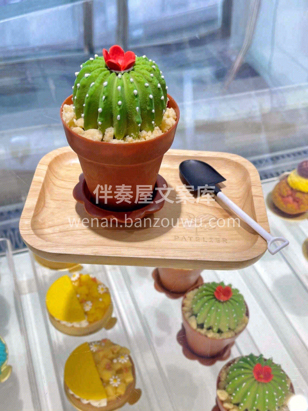 ❣在阳台上打个盹儿，叶子就绿了🌿花就开了 配图3