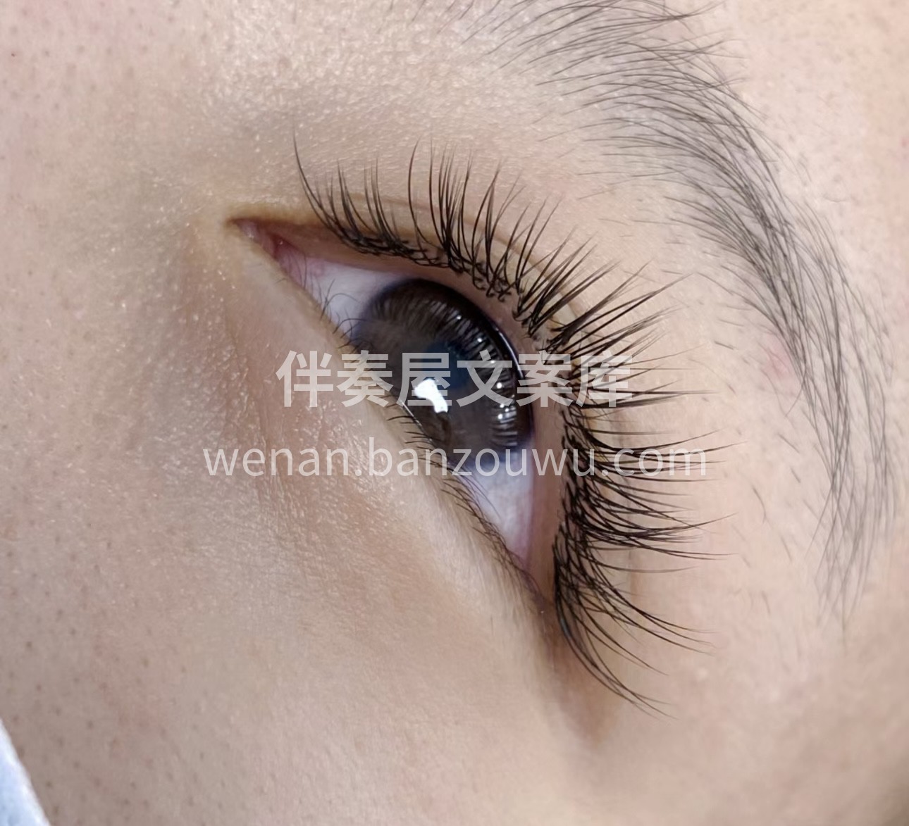 美睫，为你的眼睛增添灵动神韵。宛如天生， 配图2