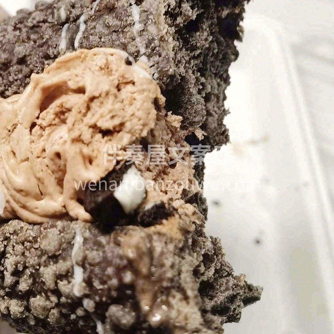 🍫巧克力奶油+奥利奥饼干碎🍪 喜欢巧克力 配图2