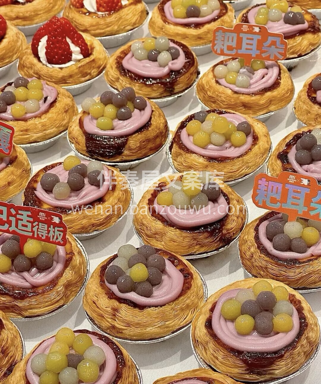 我负责晒，你负责看，适合了就来找我，不适 配图1