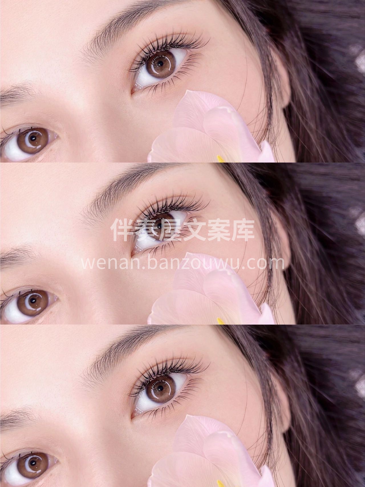 ⠀ ⠀ ʚ๑* Mᴇɪ ᴊɪᴇ *๑ɞ 