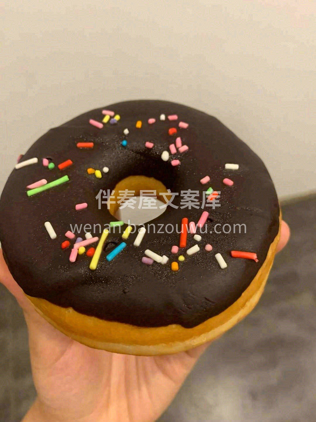 让人心❤️情美美的甜甜圈🍩，最简单原生版 配图2
