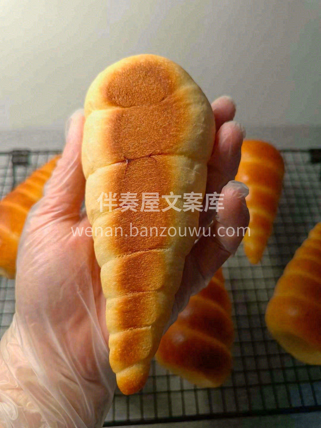 𓂃 𓈒𓏸🍃ᐝ🍄Ⱄⱄ🌾ʚïɞ 每一段时光， 配图2