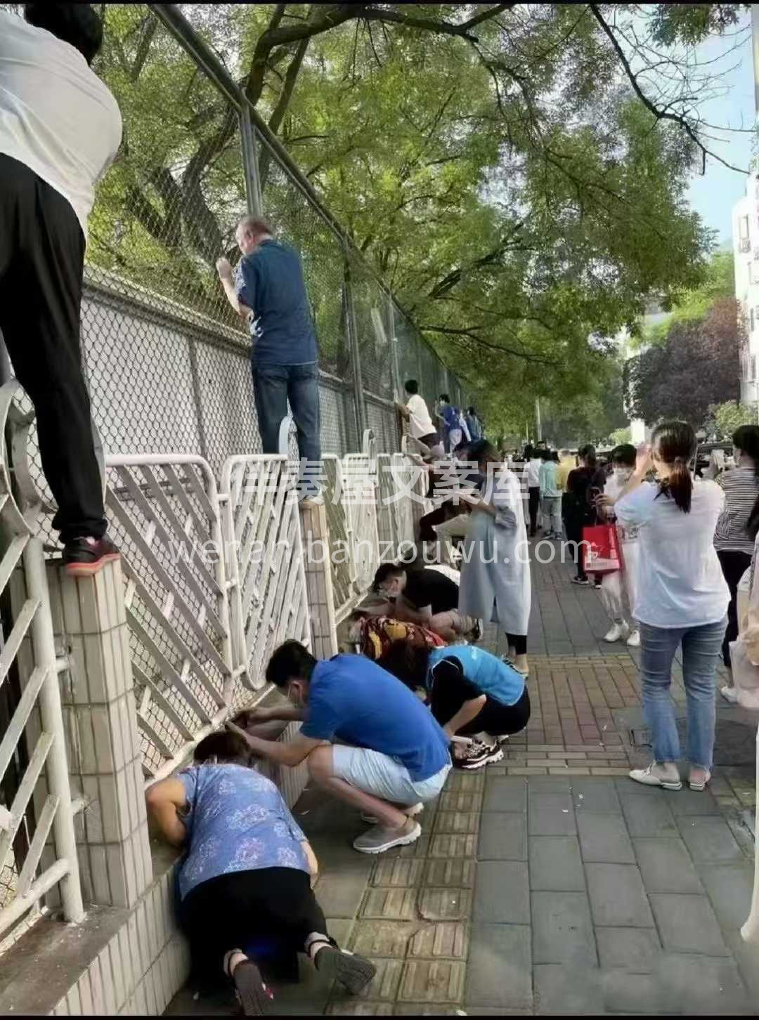 我说这‮天两‬我的客户哪去‮呢了‬[憨笑