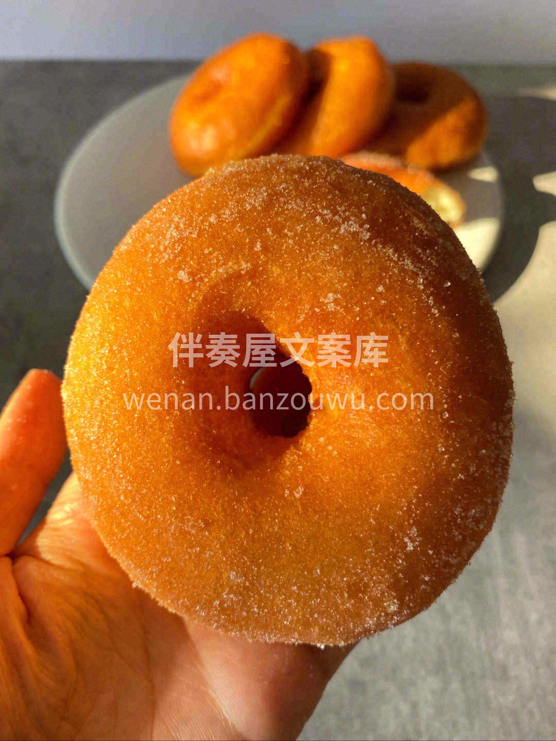 🌿春天的午后、一个甜甜圈🍩，驱散午后的乏 配图1