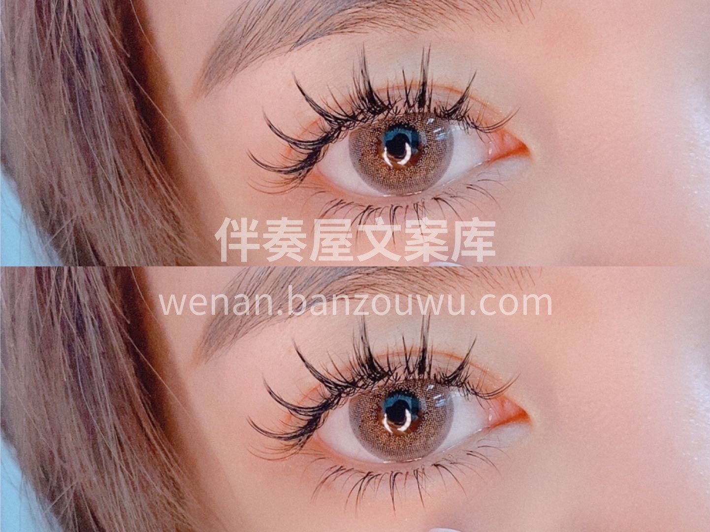 每一次嫁接皆是惊艳 每一次眨眼都是心动 