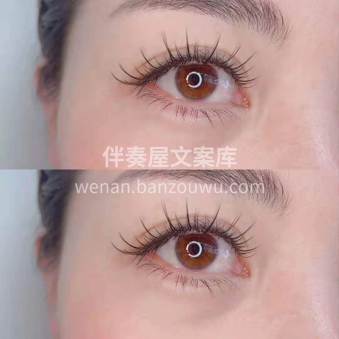 ┍ ┄┄┄┄┄┄┄ ┑ ❀ 羽睫弧度弯弯