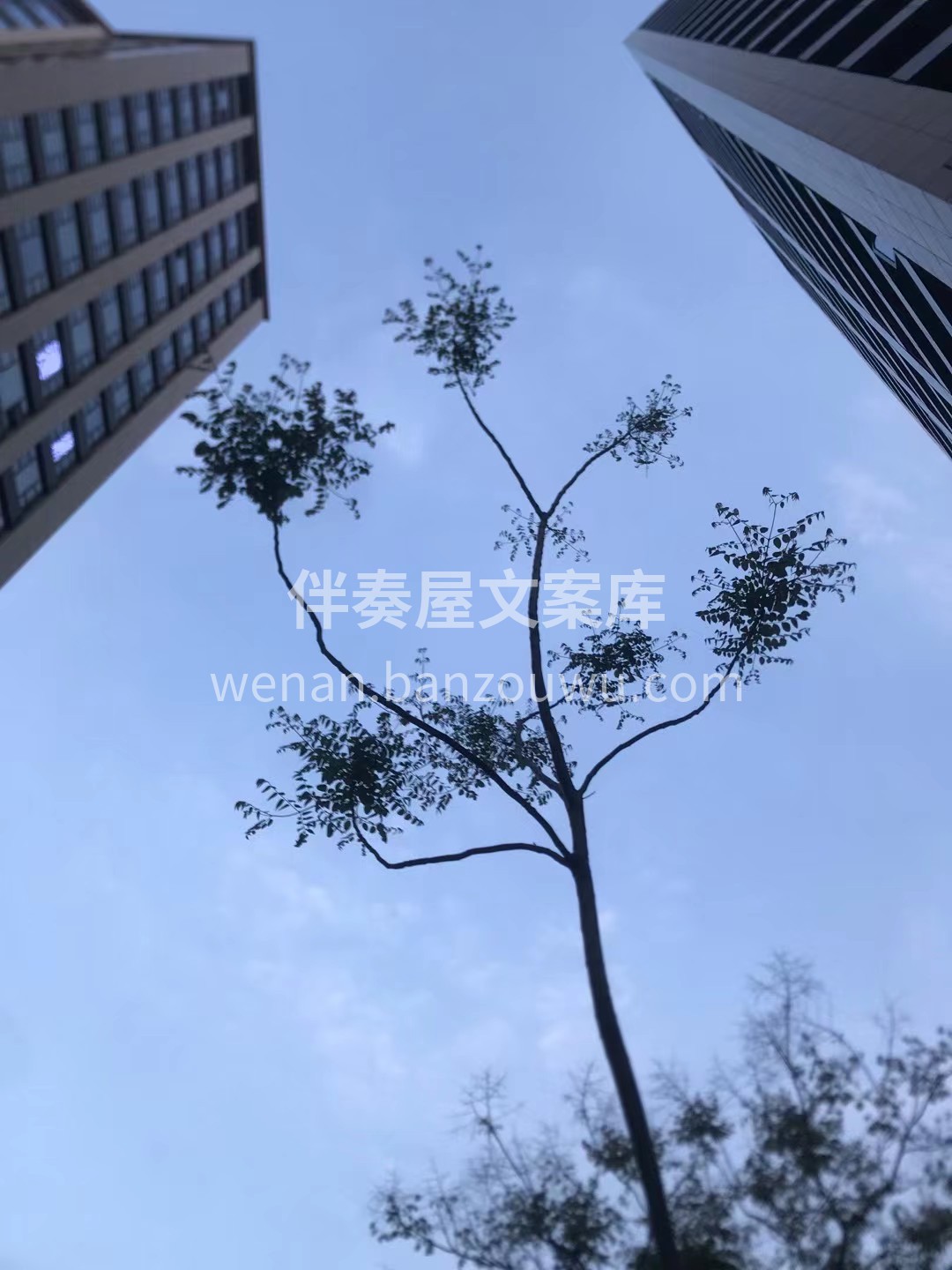 全屋有温，生活有度 ​可俗可雅，自在掌握