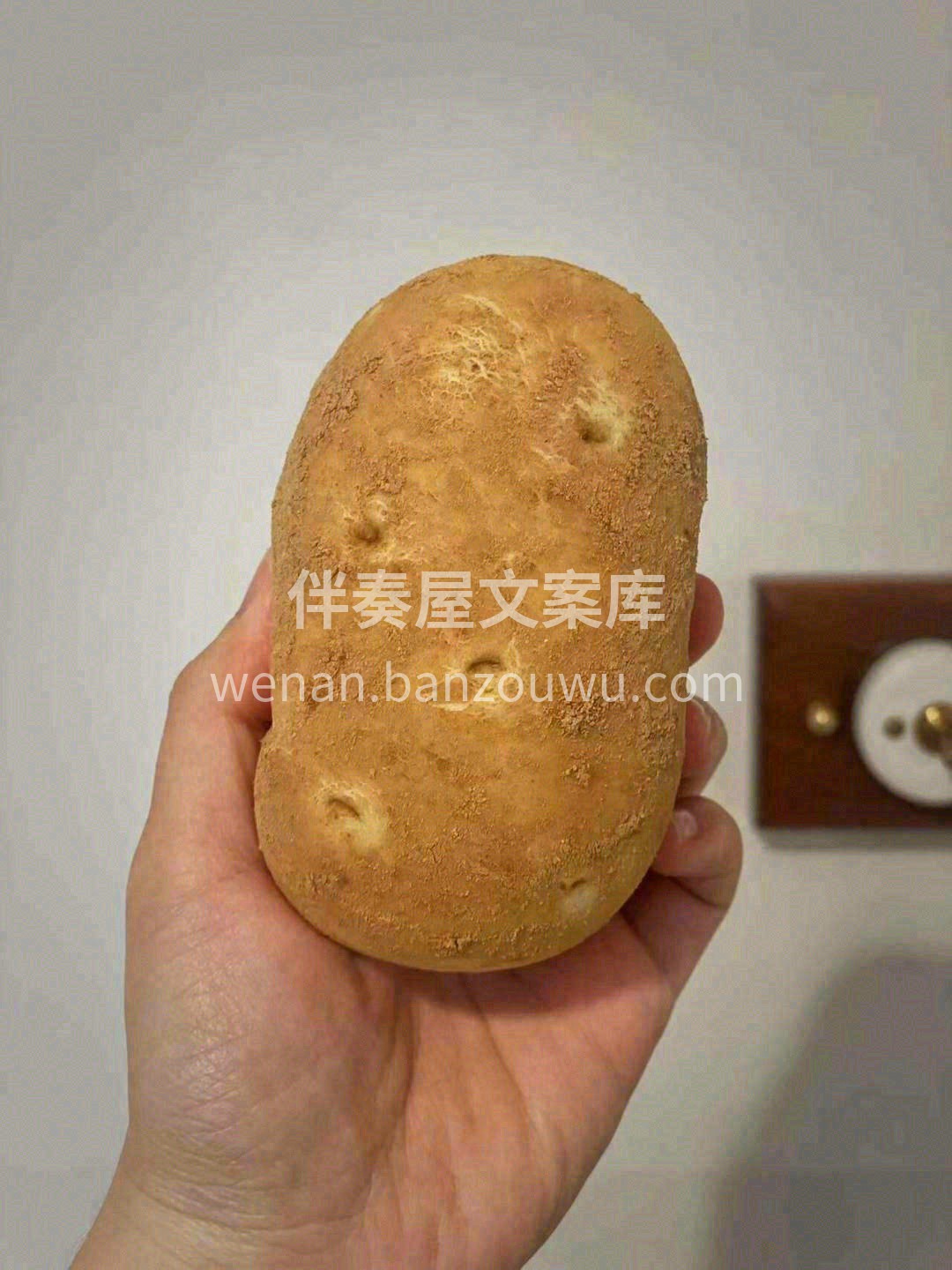 🥔这个土豆面包真土豆看了都要愣2秒 掰开 配图2