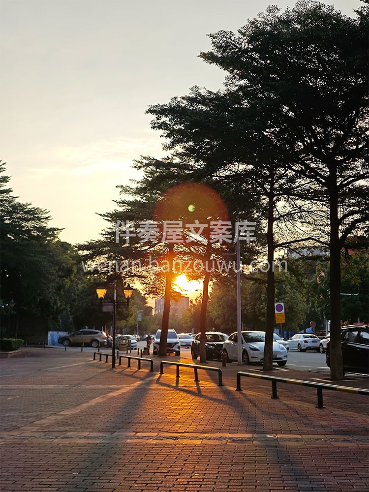 一直在XX市干装修 没骗过一个客户， 没