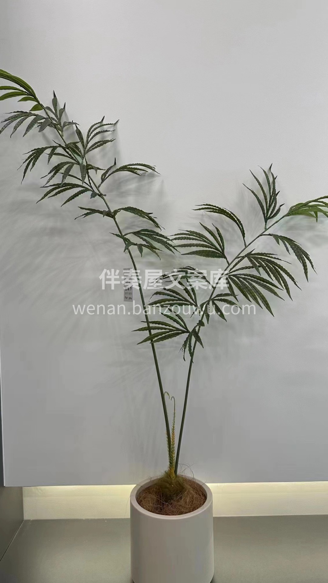 软装天花板<br>赶紧抄作业吧[爱心]< 配图3