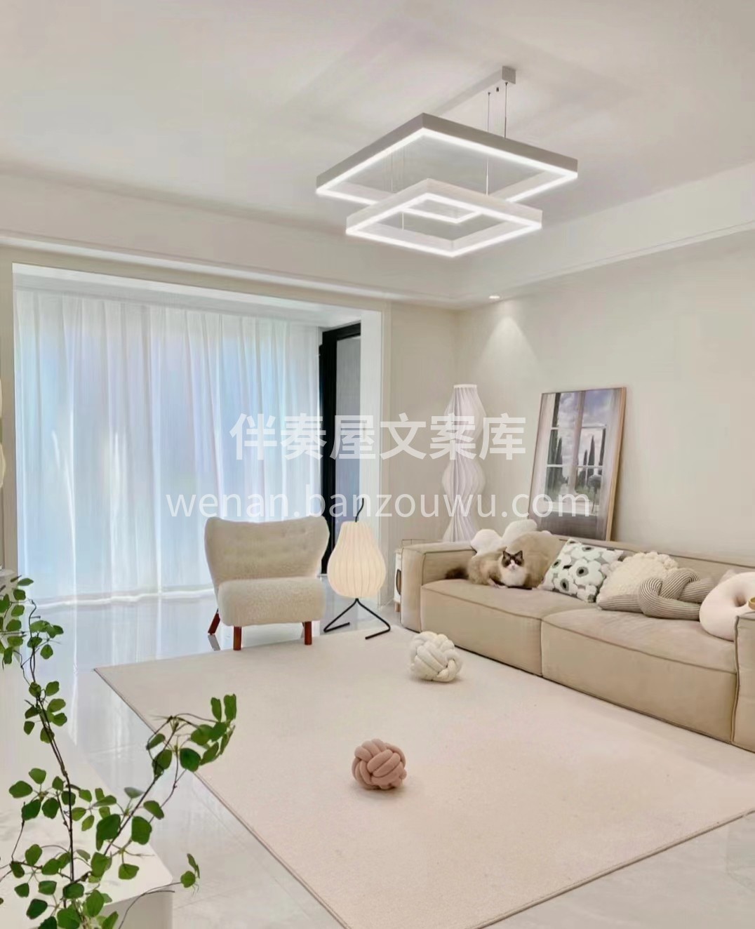 新手拼价格[红包] 老手拼质量[强] 不 配图1