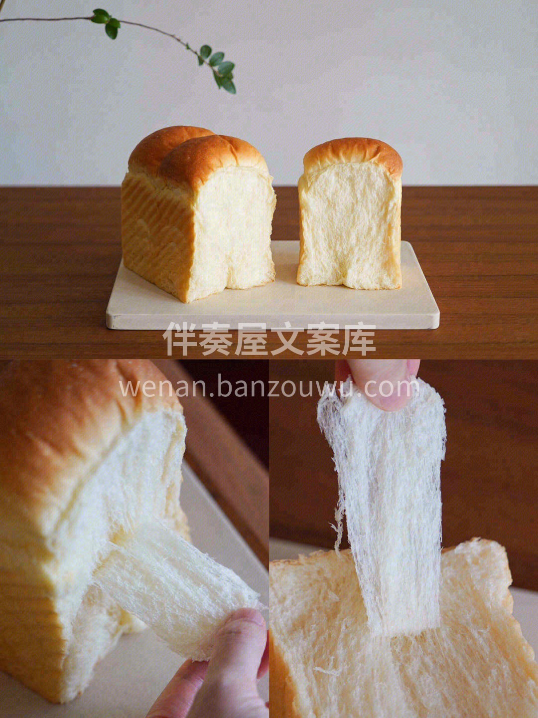 👆人生百味就是悲喜交加苦甜参半💫身体到不 配图2