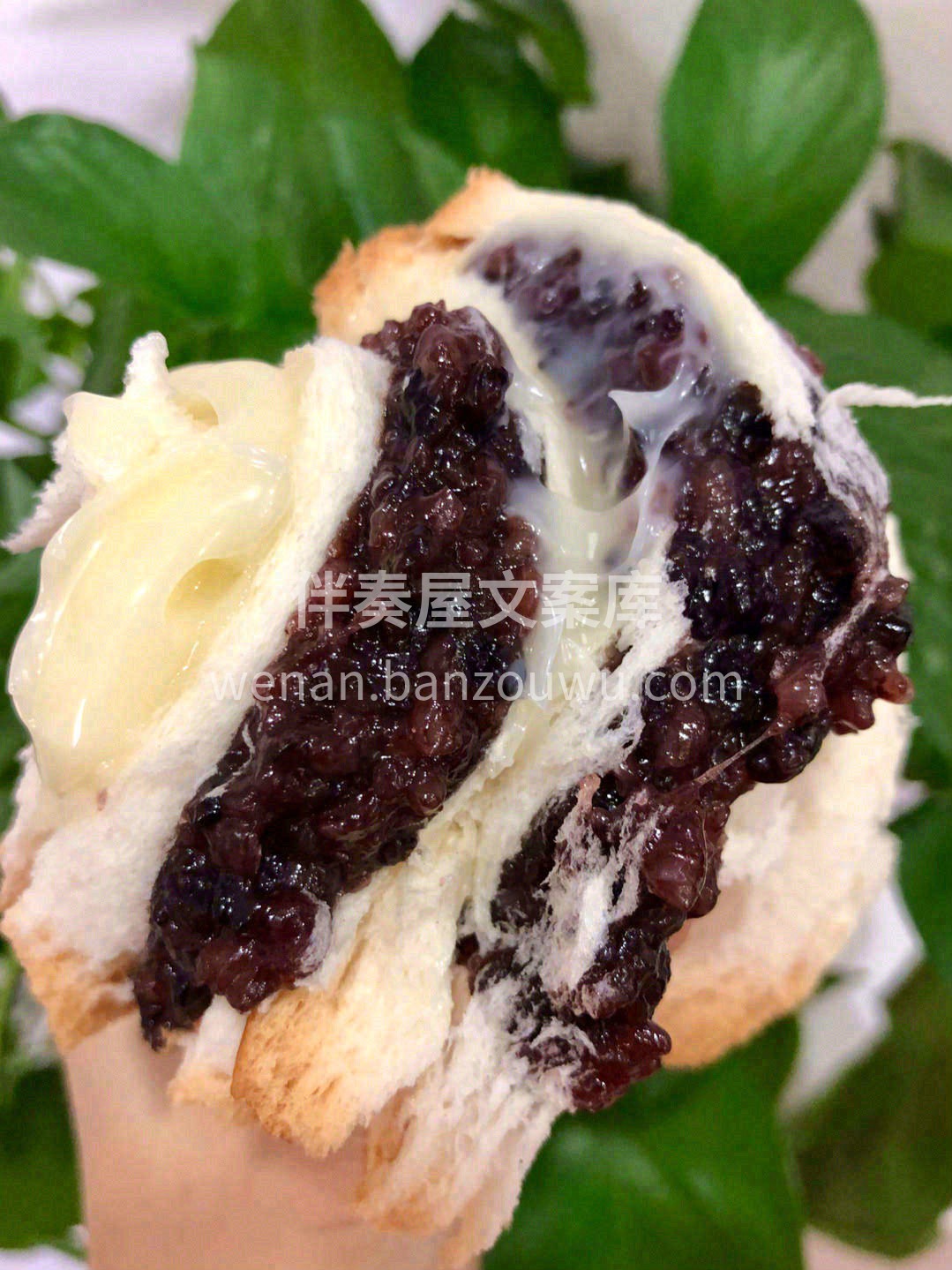 🌿春天到了，万物复苏，又开始到了春游的季 配图1