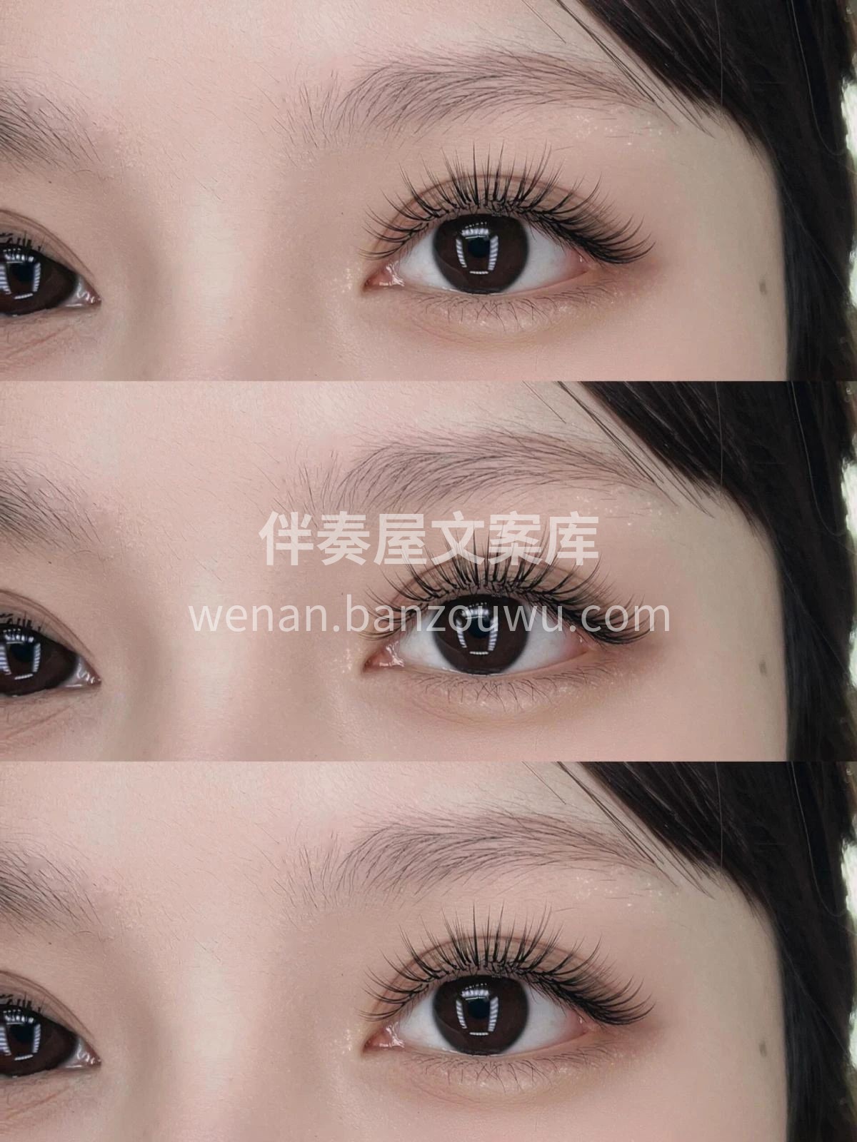 山茶花流苏款睫毛 清澈的眼睛无须浓妆 小