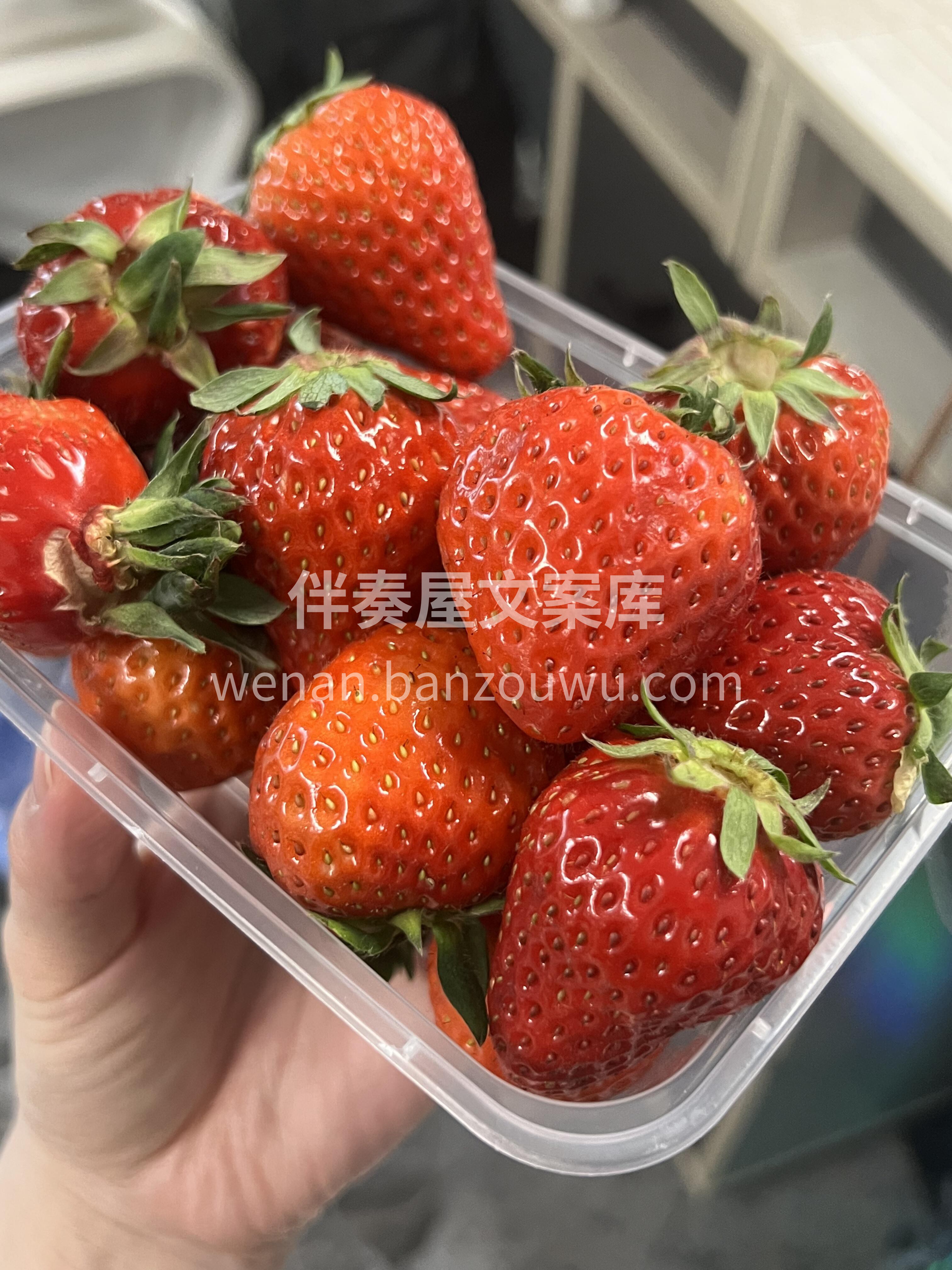 🎉草莓新鲜到货啦！ 鲜红饱满，果肉细嫩😍 配图1