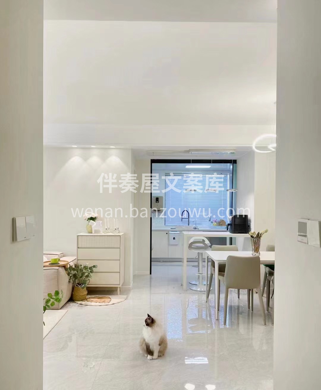 新手拼价格[红包] 老手拼质量[强] 不 配图3