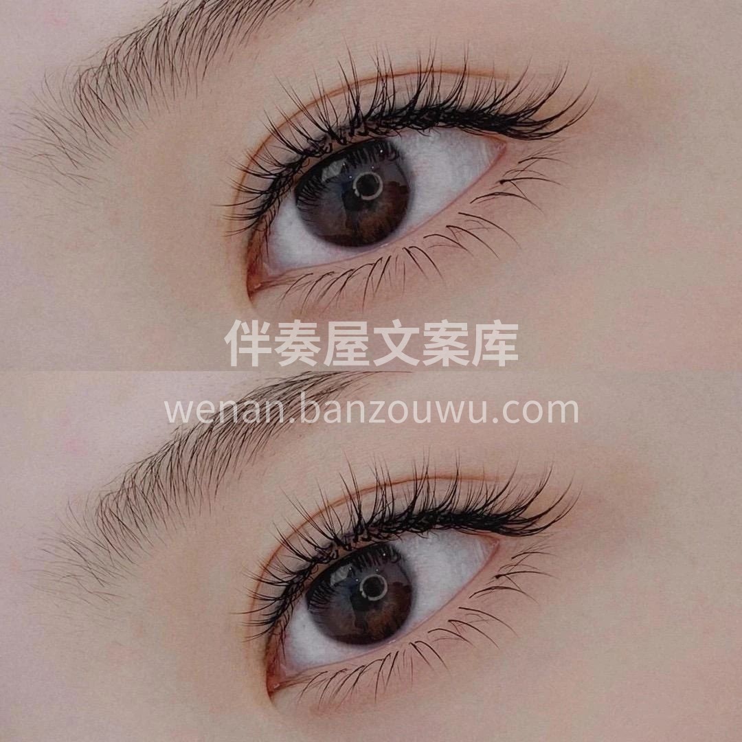❀❀❀ 🌸Mei Jie🌸❀❀❀ ▷ 在