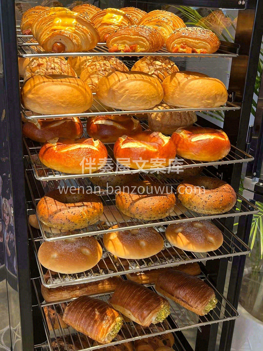 看着玲琅满目的面包一一出炉、打包🛍️ 等 配图1