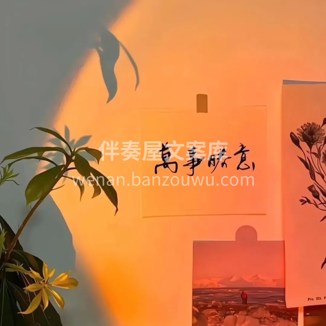 奔赴在‮己自‬的热爱里， 享受‮单简‬的