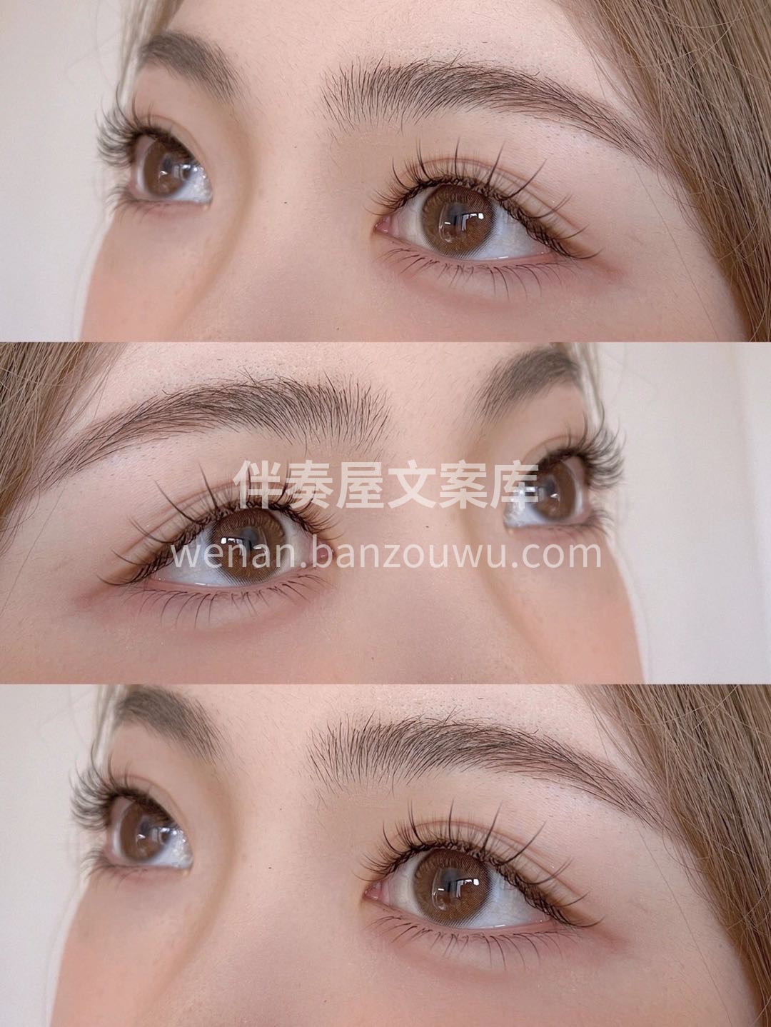 ❀* 夏去秋来落叶黄*❀ ❀* 唯有美眸