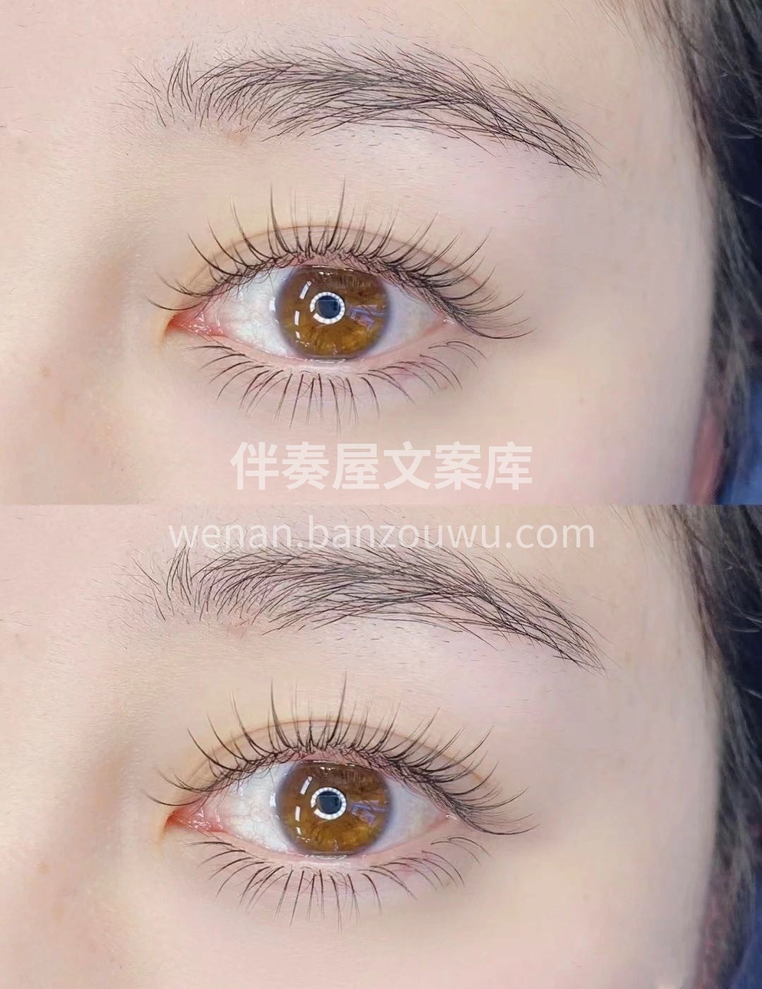 新概念美睫 嫁接睫毛不再是浓密 厚重的时