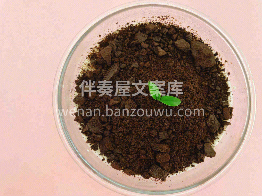 🔆慵懒散漫的午后时光，你需要一份精致下午 配图3