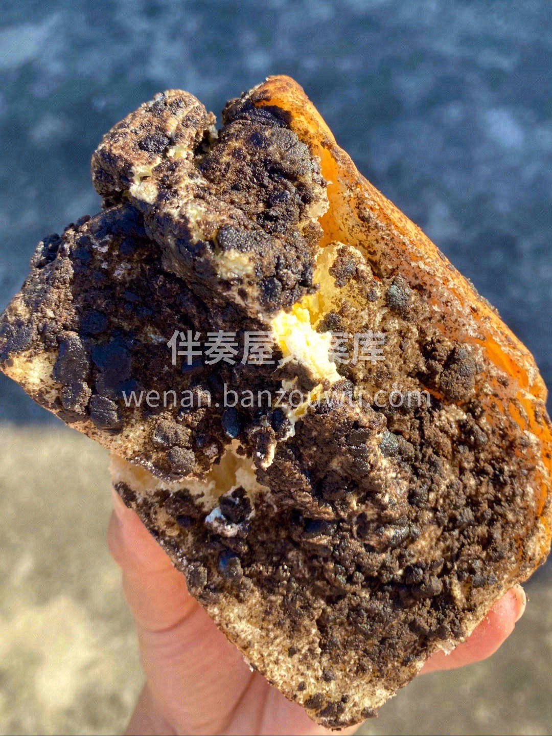 🍫巧克力的表面铺满了可可粉✨是有点微苦的 配图1