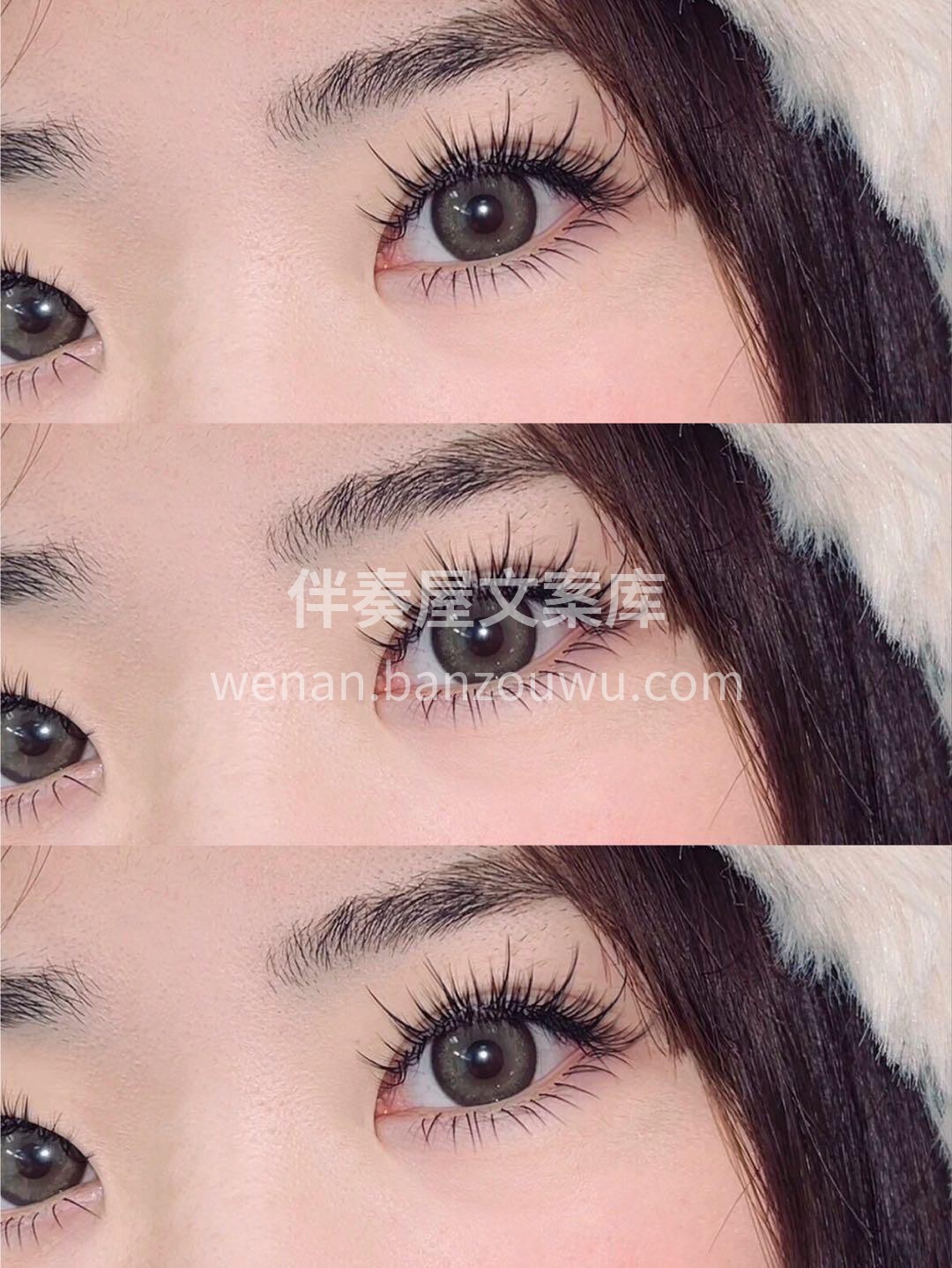 ⠀ ıllıllı۰•·❀❀❀·•۰ıl