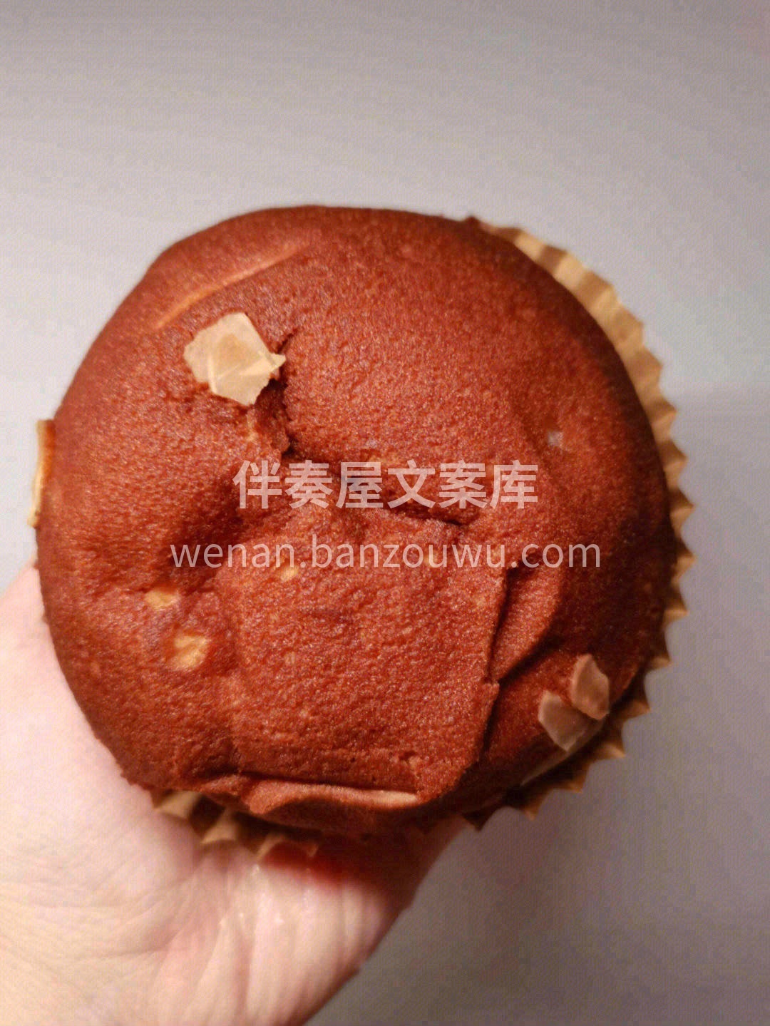 ☕浓香的咖啡酥皮包裹着黄油面包，热腾腾地 配图3