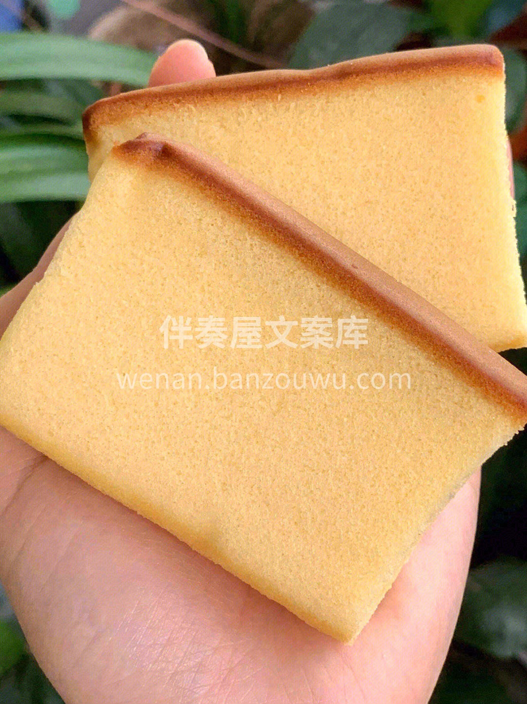 🍞饱满细腻，你轻轻按压就能在上面留下手印 配图2