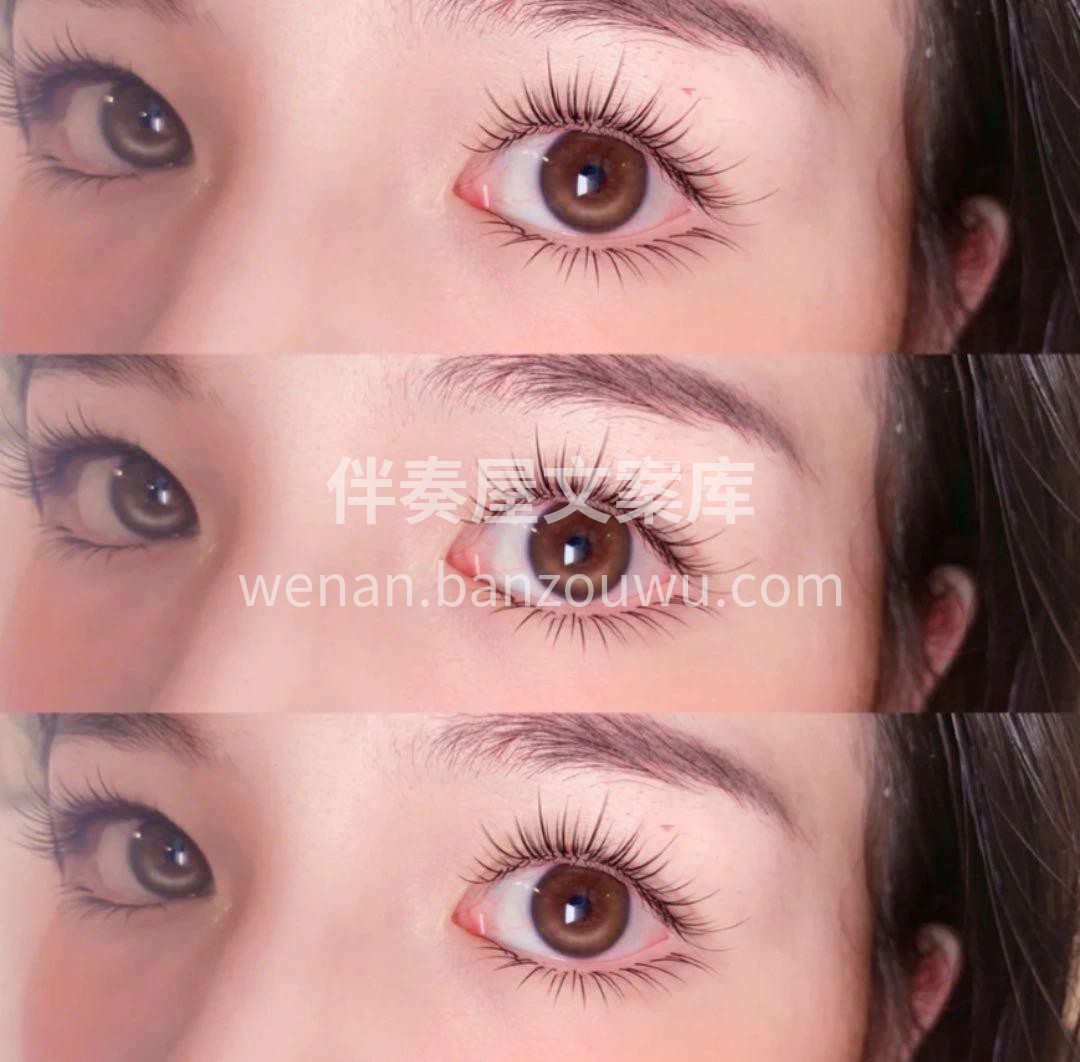 ⠀ ✧˖° ᗰEI ᒍIE °˖✧ 嫁接