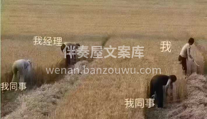 本人承诺： 凡是五一来找我做装修设计，给