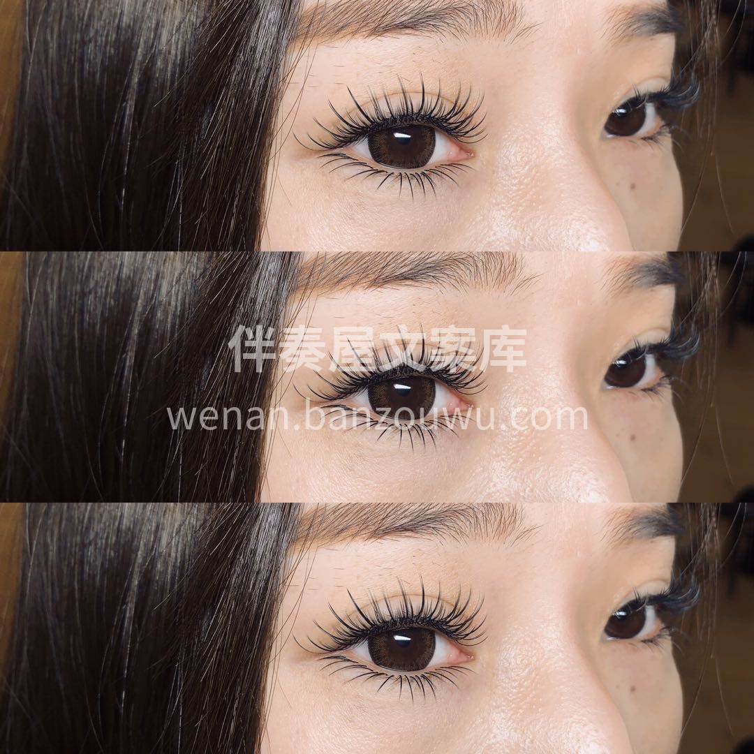 不期而遇的温暖❀* * ❀生生不息的向往