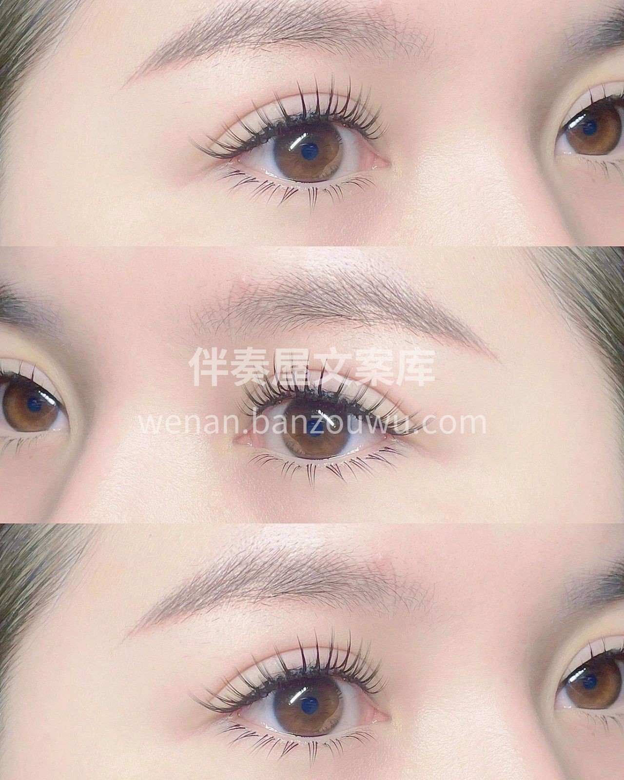 💫 * ੈ✩‧₊˚ᴹᴱᴵᴶᴵᴱ *｡⋆ 