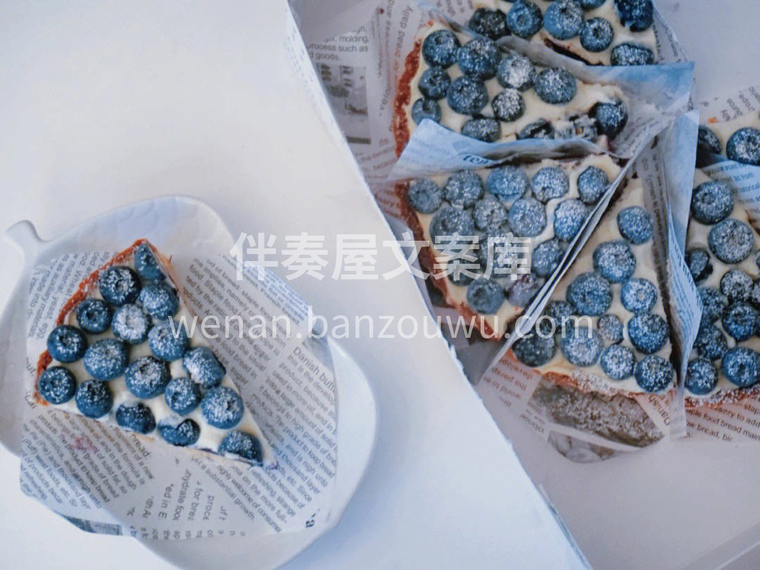 🌤️夏日是蓝莓的季节。所以👉法国人只有夏 配图1