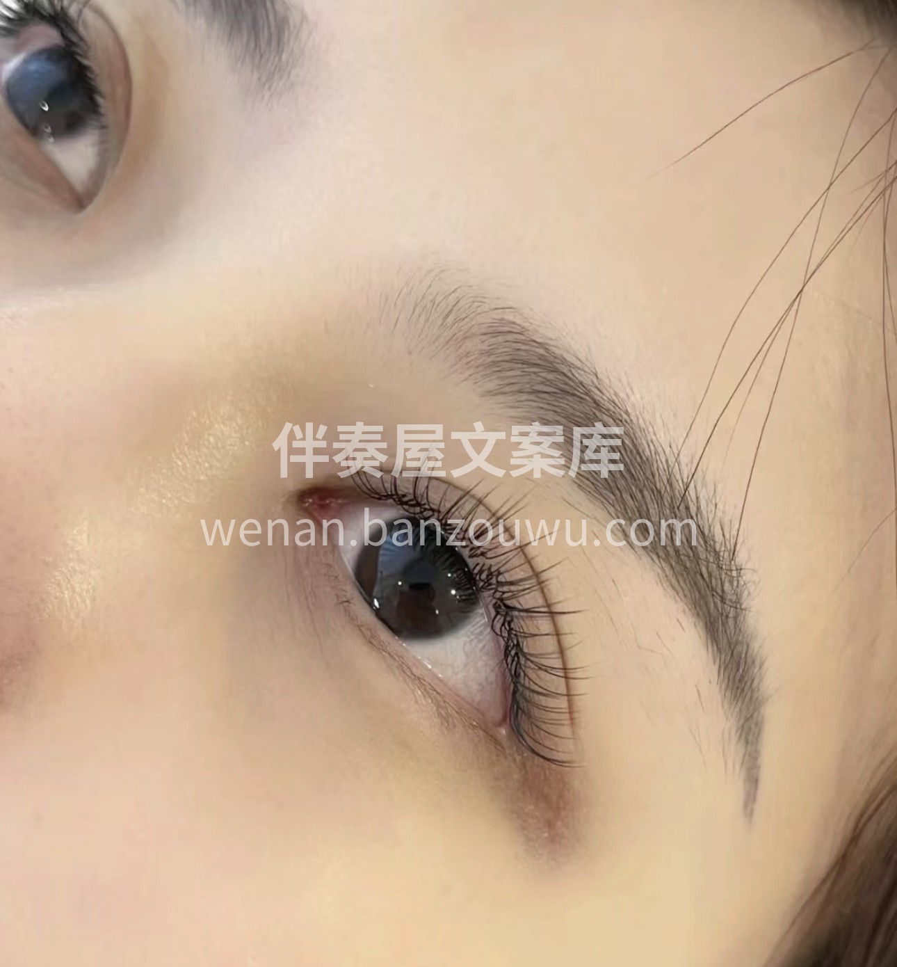 专业美睫，为你塑造梦幻双眸。长而卷翘的睫 配图3