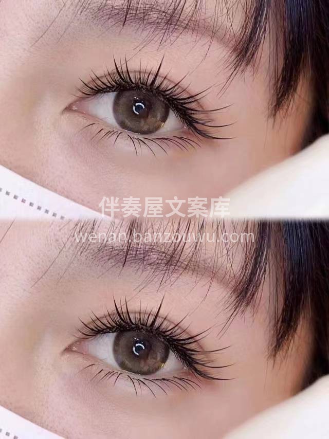 ▷ 不问江湖不问归途 ◁ ▷ 只想与美丽