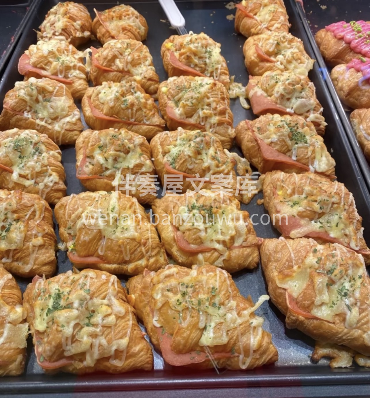我的少女心啊，想被春天卷起，卷进温柔的风 配图1