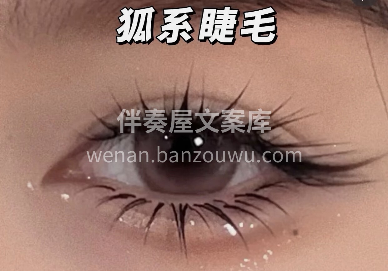 各种风格的美睫款式合集来啦！小姐妹们，蒲公英追逐的不只是天空 配图4
