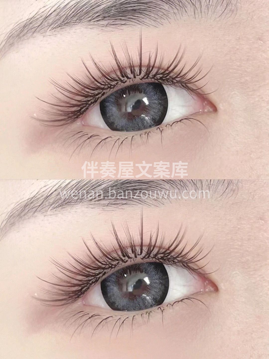 ▪️羽睫是眼眸的温柔▪️ ▪️美眸是心灵